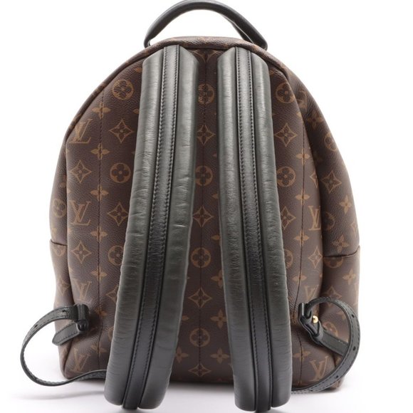 Louis Vuitton Palm Springs MM Monogram Backpack - Picture 3 of 16